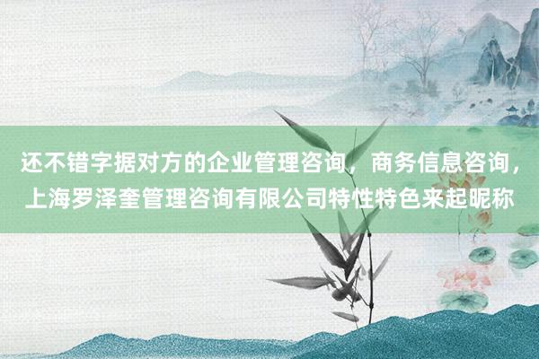 还不错字据对方的企业管理咨询，商务信息咨询，上海罗泽奎管理咨询有限公司特性特色来起昵称