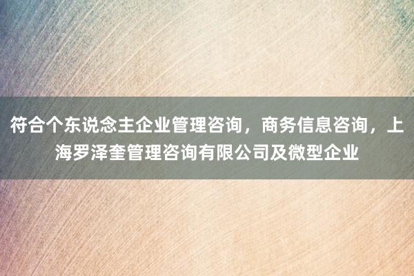 符合个东说念主企业管理咨询，商务信息咨询，上海罗泽奎管理咨询有限公司及微型企业